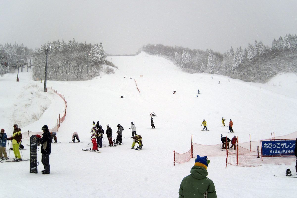 GALA 湯澤滑雪場的平緩初級雪道上，許多人正在練習